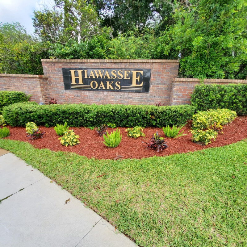 Hiawassee Oaks HOA